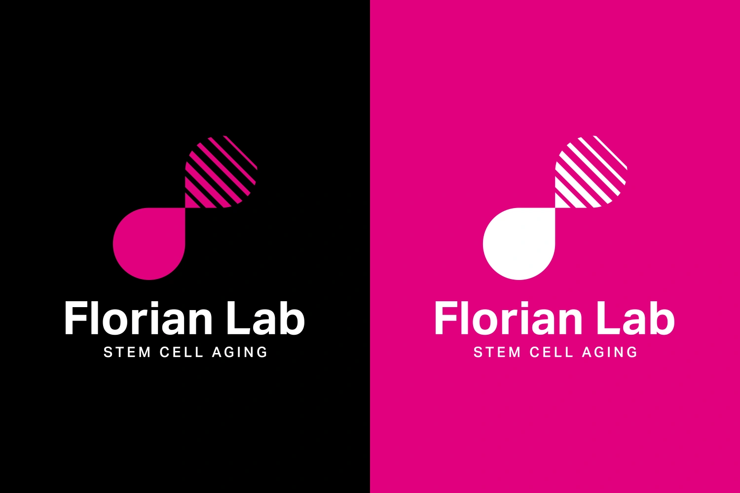 Branding
